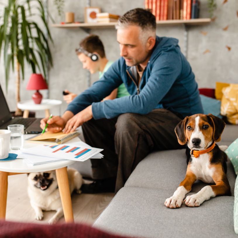 /content/uploads/2022/08/iStock-1223227712-1-1.jpg